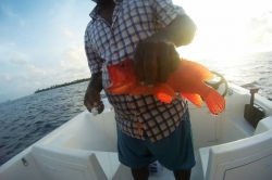 Maledivy sunset fishing