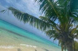 palma, písek a moře