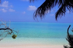 pláž a palmy na Maledivách