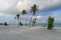 palmy na pláži Malediv