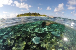 korálový útes Maledivy