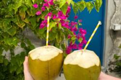 kokosy na pití