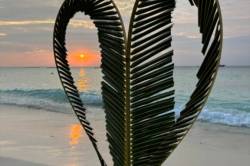 srdce z palmy na pláži při západu slunce