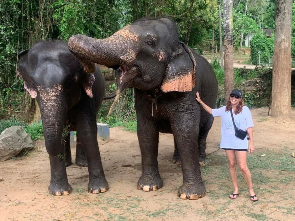 návštěva sloního útulku Elephant Millenium Orphanage